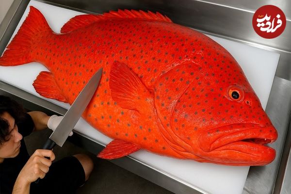 ببینید؛ غذای خیابانی در ژاپن؛ برش ماهی کمیاب «لئوپارد کورال گروپر» و تهیه سوشی