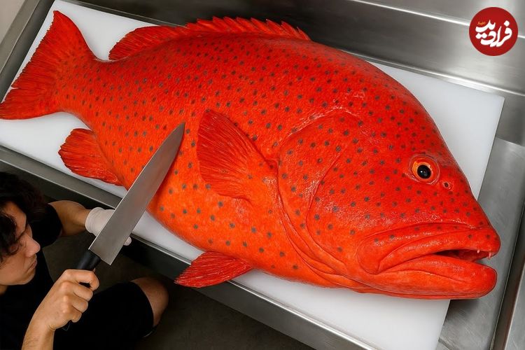 ببینید؛ غذای خیابانی در ژاپن؛ برش ماهی کمیاب «لئوپارد کورال گروپر» و تهیه سوشی