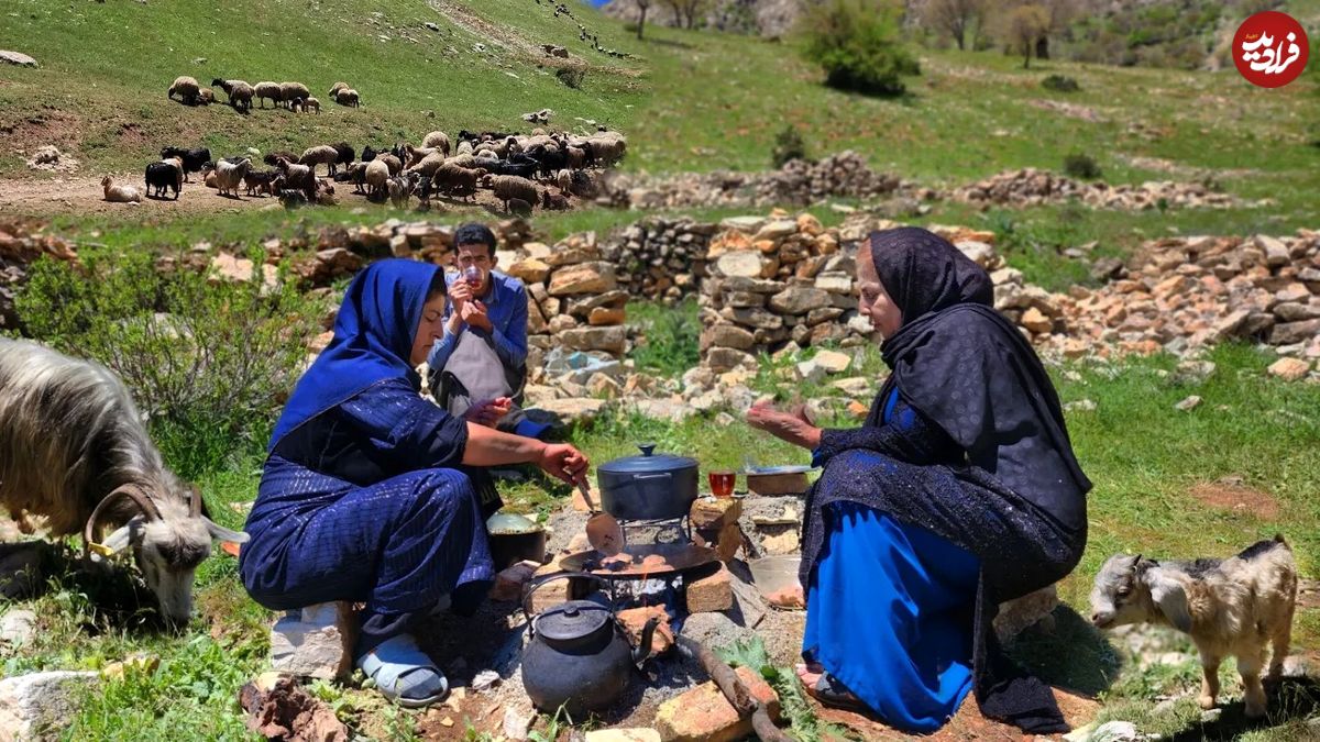 (ویدئو) پخت تماشایی گوجه پلو با شامی گوشت توسط زنان عشایر کردستانی