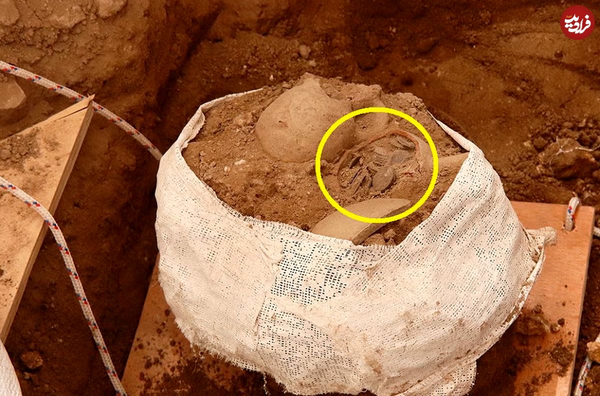 گنج سکّه‌های 600 ساله از زیر دیوار قدیمی بیرون آمد