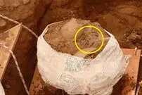گنج سکّه‌های 600 ساله از زیر دیوار قدیمی بیرون آمد