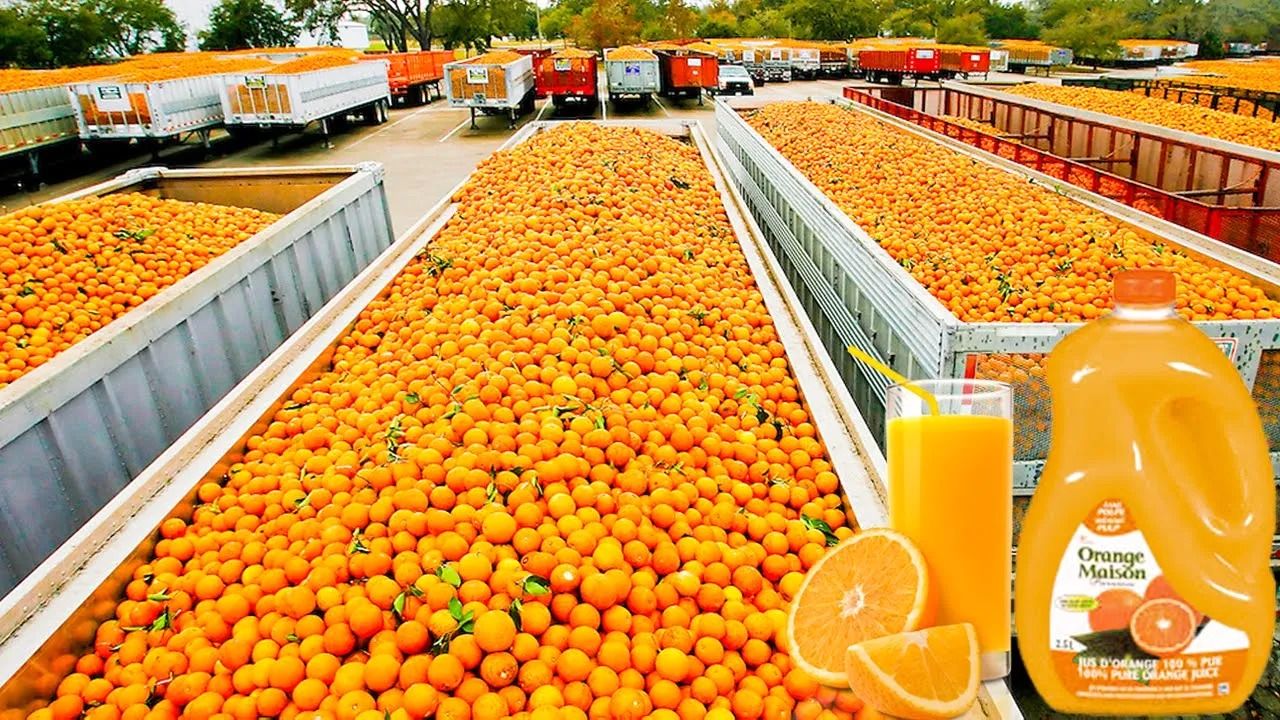 (ویدئو) فرایند تماشایی تهیه آب پرتقال در کارخانه