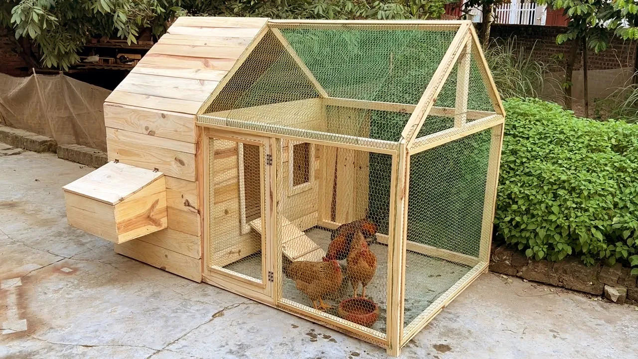 (ویدئو) چگونه یک مرغداری کوچک با چوب در حیاط خانه بسازیم؟