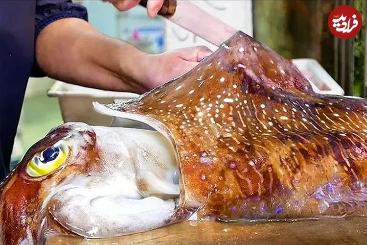 (ویدئو) غذای خیابانی در ژاپن؛ تهیه و سرو غذاهای محبوب با ماهی مرکب بزرگ