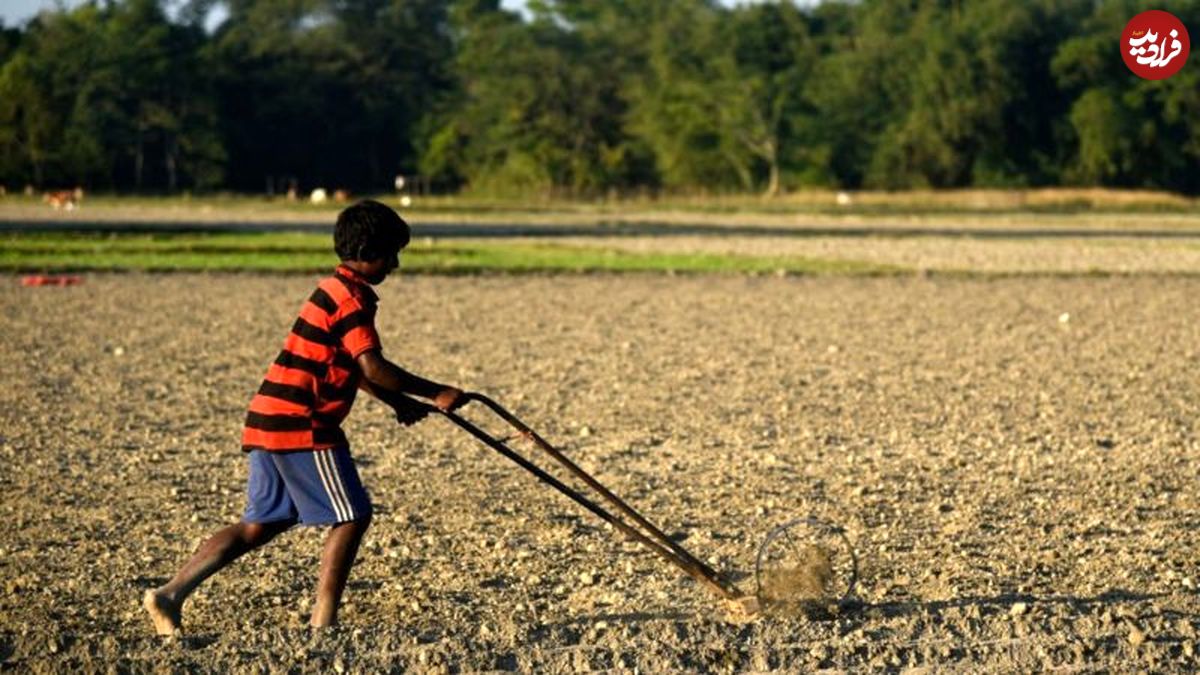چرا خاک و کیفیت آن مهم است؟