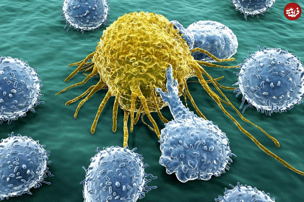 کشف مولکولِ تازه‌ای که سرطان‌های مقاوم به درمان را نابود می‌کند