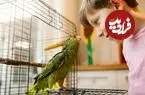 طوطی‌ها چگونه می‌توانند کلمات انسان را تقلید کنند؟