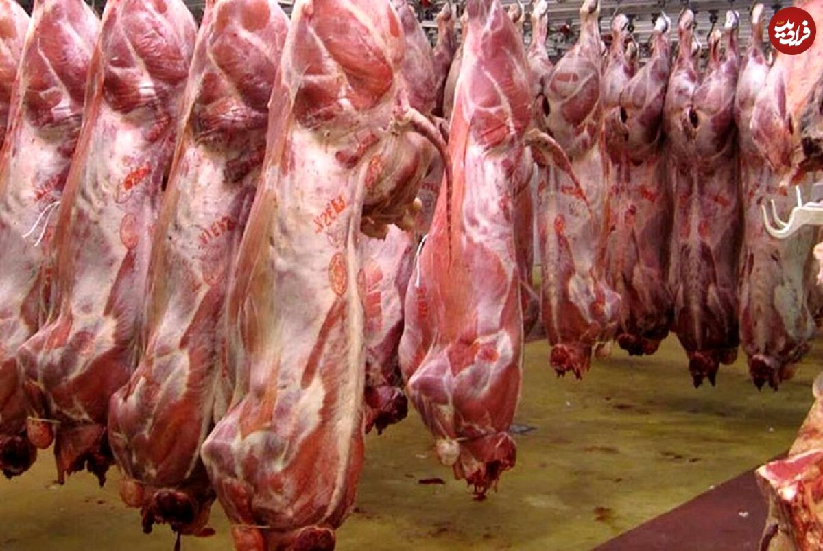 قیمت جدید گوشت اعلام شد؛ جزییات عرضه گوشت تنظیم بازاری