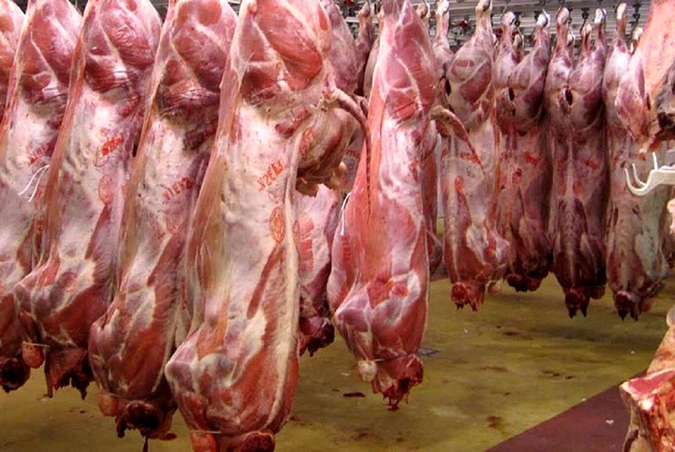 قیمت جدید گوشت اعلام شد؛ جزییات عرضه گوشت تنظیم بازاری