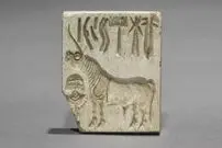 (عکس) این کتیبه های ۵ هزار ساله هندی را رمزگشایی کنید و ۱ میلیون دلار جایزه بگیرید