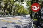 عکس| سفر به ایران قدیم؛ منظرۀ یکی از محله‌های تهران در سال 1312