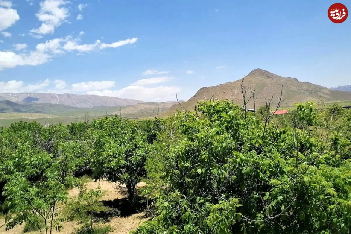 تصاویر؛ بهترین روستاهای دماوند؛ طبیعت‌های نزدیک تهران که نباید از دست بدهید!