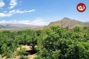 تصاویر؛ بهترین روستاهای دماوند؛ طبیعت‌های نزدیک تهران که نباید از دست بدهید!