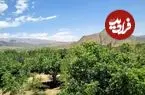 تصاویر؛ بهترین روستاهای دماوند؛ طبیعت‌های نزدیک تهران که نباید از دست بدهید!
