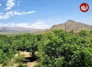 تصاویر؛ بهترین روستاهای دماوند؛ طبیعت‌های نزدیک تهران که نباید از دست بدهید!