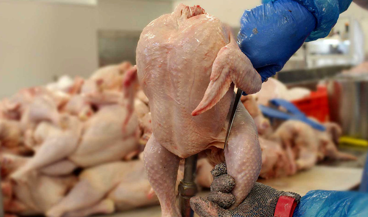 ارزانی 500 تومانی گوشت مرغ در بازار