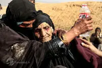 تصاویر/ فرار از دست داعش با پرچم سفید