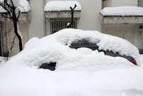 غول سیبری در مشهد