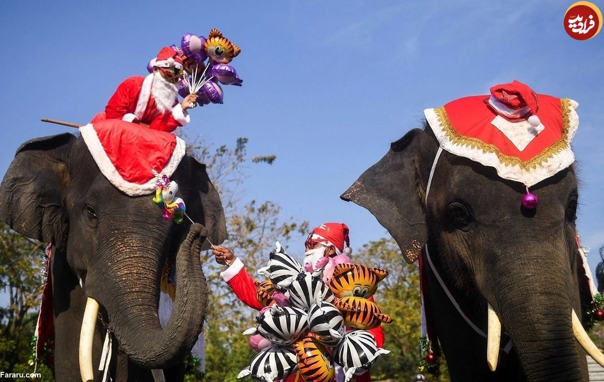 (ویدئو) وقتی فیل‌ها در تایلند بابانوئل می‌شوند!