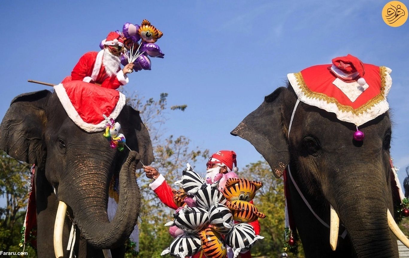 (ویدئو) وقتی فیل‌ها در تایلند بابانوئل می‌شوند!