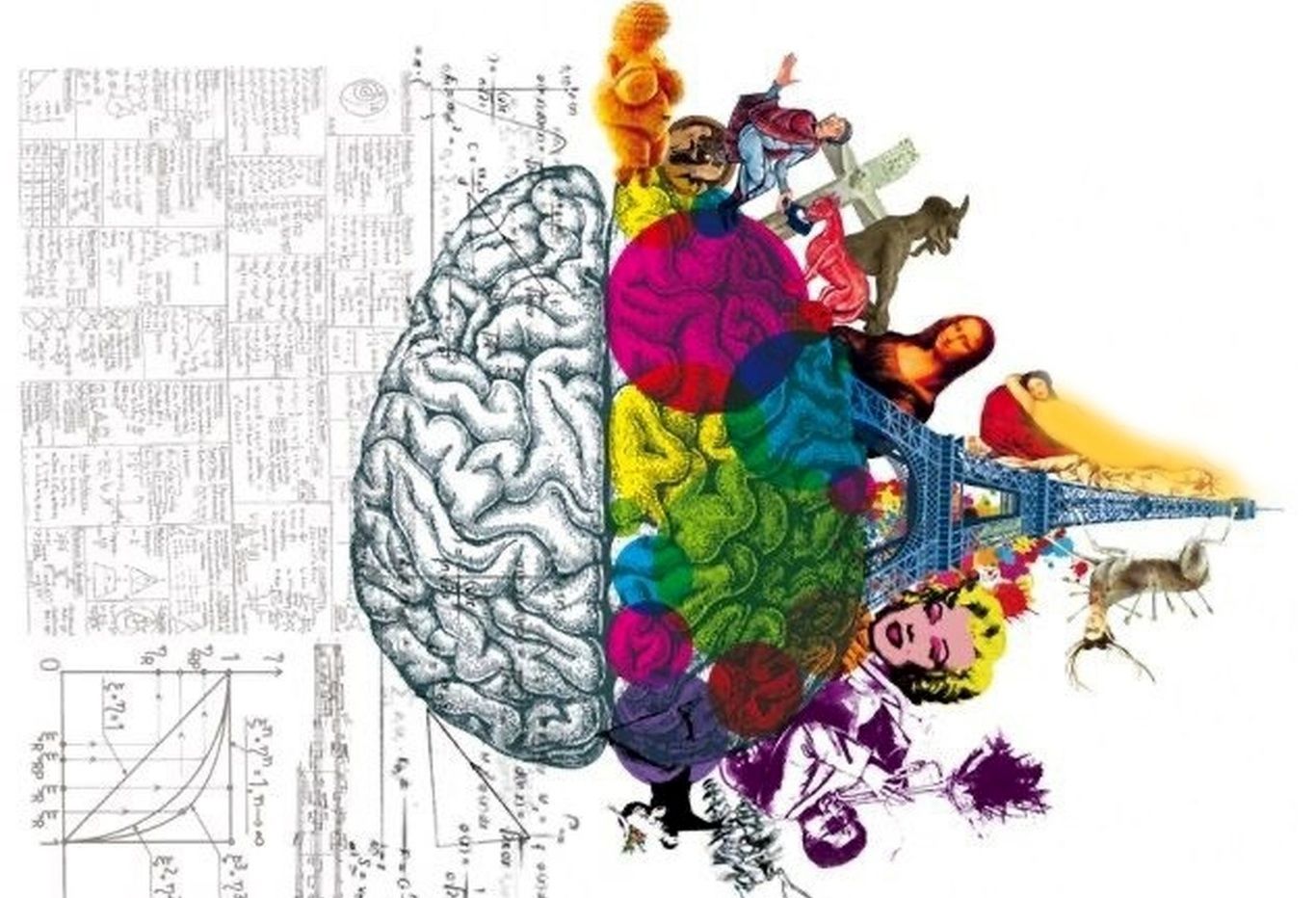 (پادکست) همه چیز درباره آناتومی مغز؛ قسمت دوم موج اعصاب