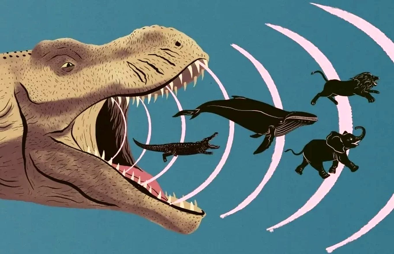 دایناسور‌ها چه صدا‌هایی تولید می‌کردند؟