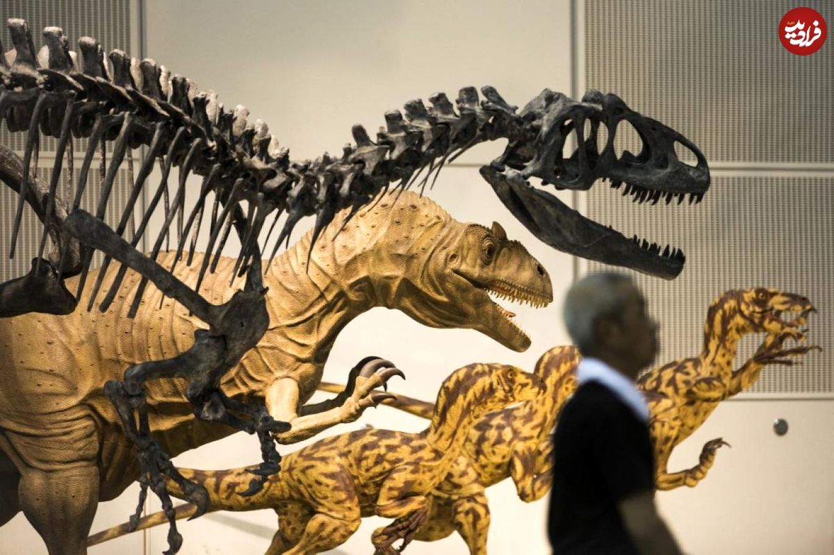 مظنون اصلی در مرگ دایناسور‌ها چه بود؟
