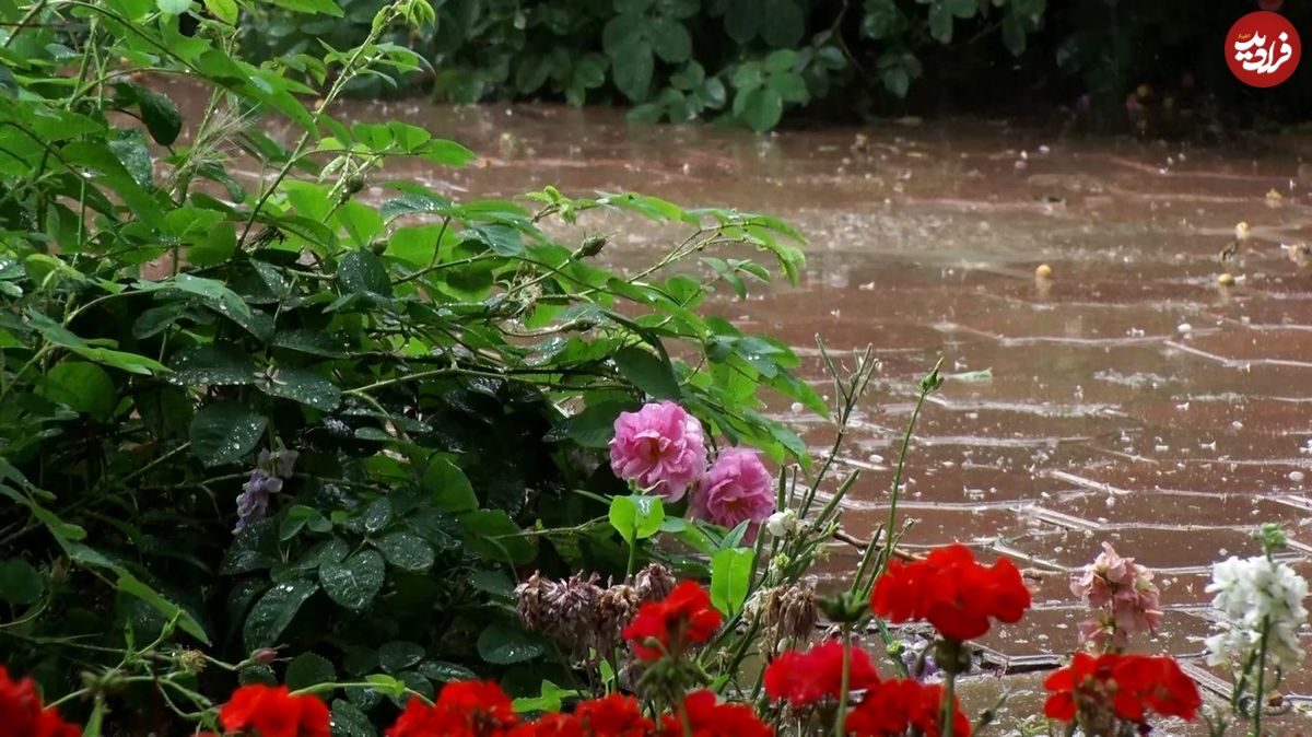هواشناسی ایران، امروز ۱۴۰۱/۰۲/۱۱
