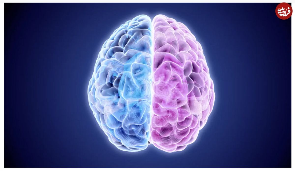 آزمایش شگفت انگیز؛ اگر یک نیمکره مغز از کار افتاد چه می‌شود؟!