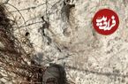 ردپای هیولاهای گوشتخوار 115 میلیون ساله در اثر سیلاب از زیر خاک بیرون آمد