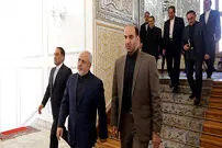 تصاویر/ حواشی دیدار امروز ظریف