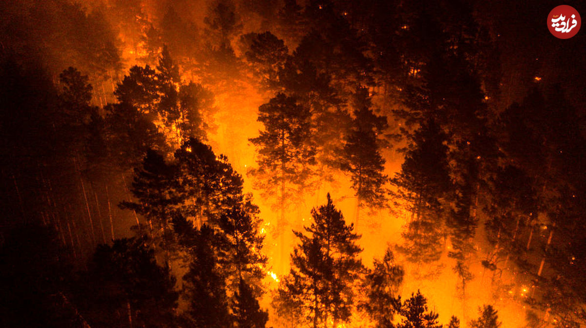 تصاویر/ آتش سوزی جنگل‌های سیبری