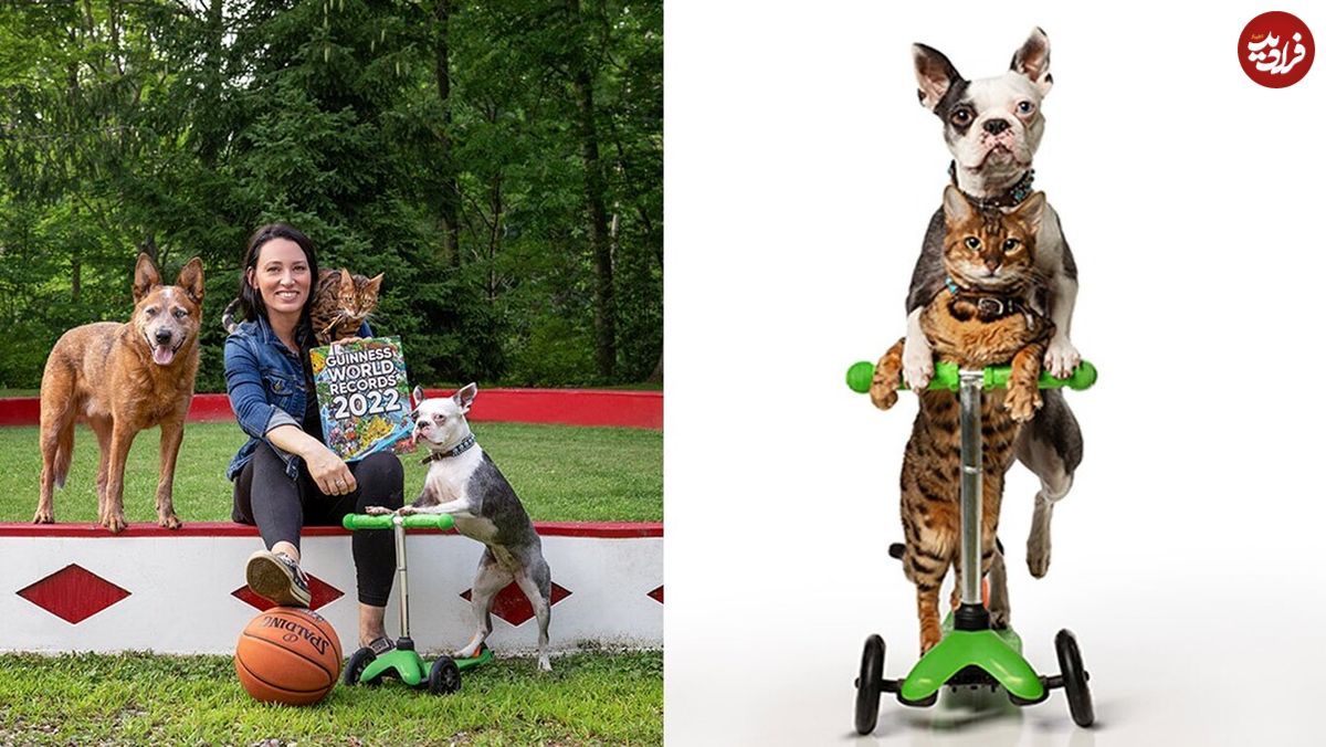 (تصاویر) گربه و سگ با هم اسکوتر سواری کردند و رکورد جهانی را شکستند