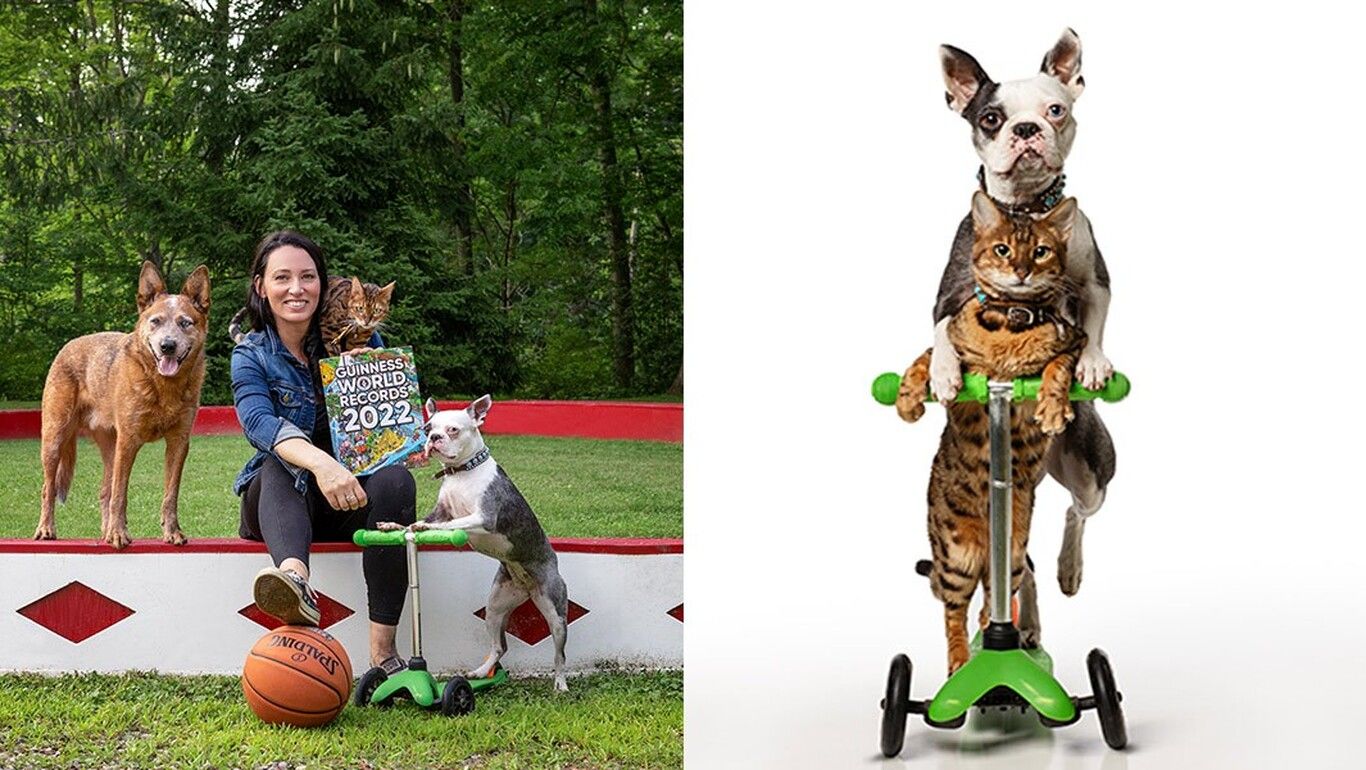 (تصاویر) گربه و سگ با هم اسکوتر سواری کردند و رکورد جهانی را شکستند
