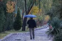 هشدار قرمز؛ کاهش شدید ۱۲ تا ۱۵ درجه‌ای دما در این ۴ استان