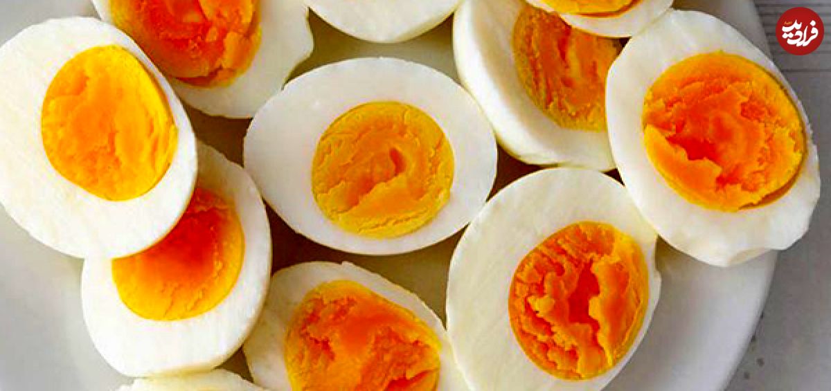 کدام قسمت تخم مرغ پروتئین بیشتری دارد؟