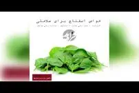 بشنوید/ خواص اسفناج برای سلامتی