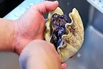 ببینید| غذای خیابانی در ژاپن؛ تهیه ساشیمی با صدف آبی، کره و سیر در توکیو