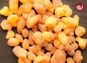 ببینید؛ با طرز تهیه جالب آدامس سقز آشنا شوید