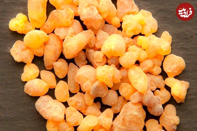 ببینید؛ با طرز تهیه جالب آدامس سقز آشنا شوید