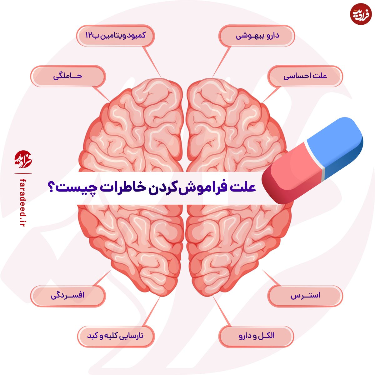 اینفوگرافی/ علت فراموش کردن خاطرات چیست؟