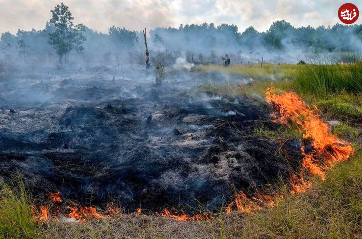 مهار کامل آتش‌سوزی جنگل در عباس‌آباد