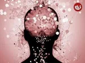 راز مبارزه با آلزایمر شاید در عضلات شما پنهان باشد