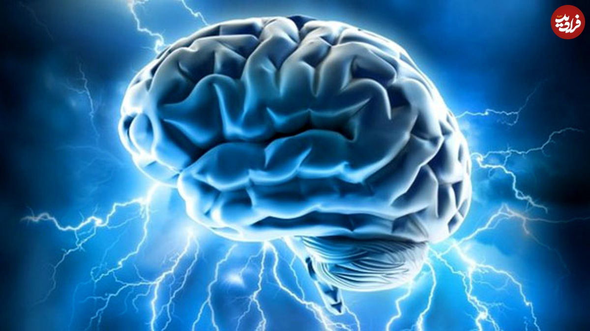 6 راه تقویت مغز و افزایش حافظه