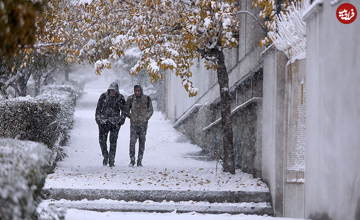 تصاویر/ برف تهران را سفید پوش کرد