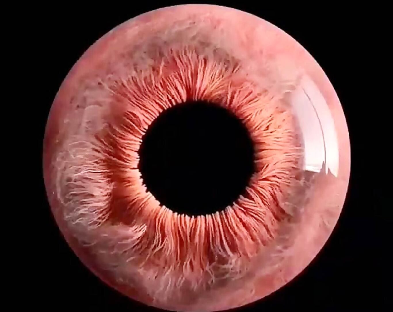 (ویدئو) تصاویری خارق‌العاده از چشم انسان زیر میکروسکوپ!