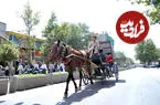 عکس| سفر به ایران قدیم؛ نمایی از «پشت بام های تهران» در سال ۱۳۵۳