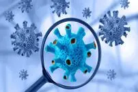 سویه جدید ویروس کرونا؛ مسری‌ترین جهش