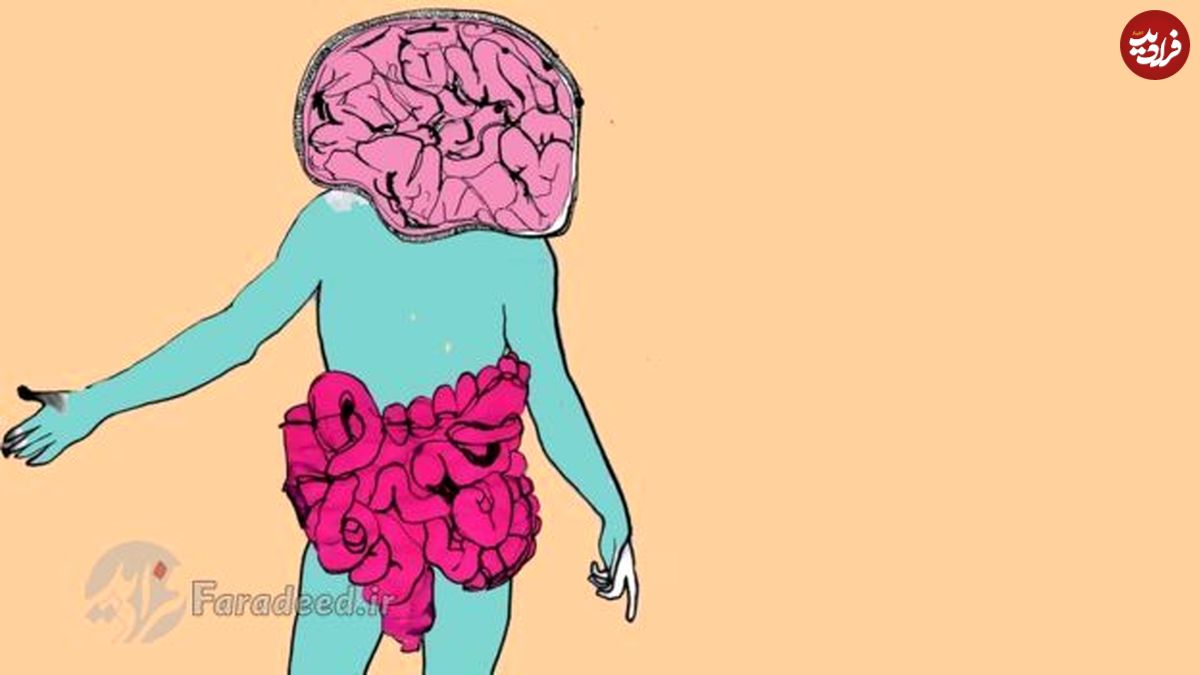 ما بیشتر از میکروب هستیم تا سلول‌های انسان!