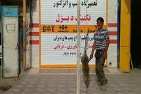 عکس/ شکار موش 27 کیلویی